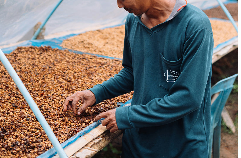 Honey Process Coffee: How It Works and What It Tastes Like