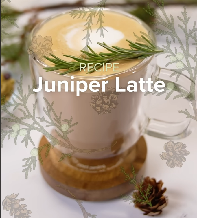 Syrup Series: Juniper Latte Recipe