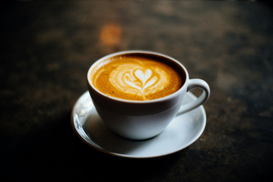 August Video Recap - Seattle Coffee Gear