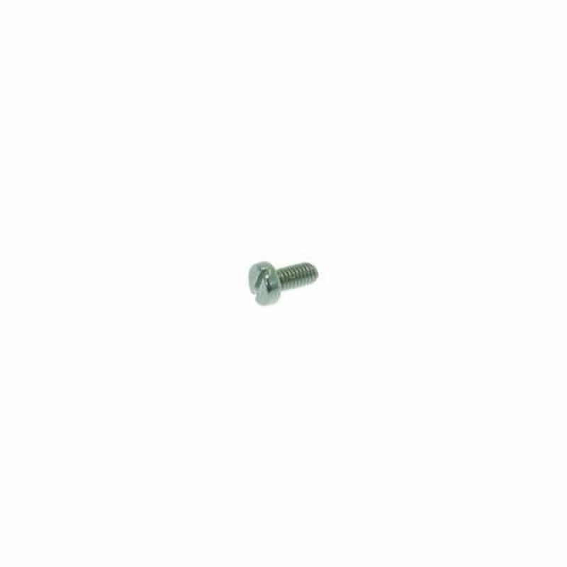 Eureka Mignon Burr Securing Screw