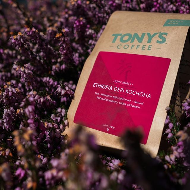 Roast of the Month: Tony's Ethiopia Deri Kochoha - Seattle Coffee Gear