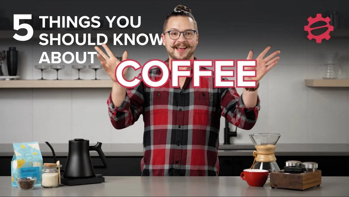 The Top 5 Things to Know About Coffee! - Seattle Coffee Gear