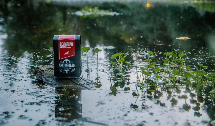 Roast of the Month: Anchorhead's Leviathan - Seattle Coffee Gear