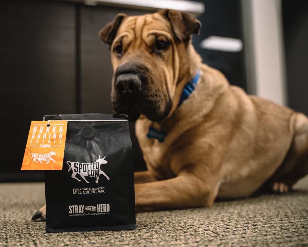 Roast of the Month: Burka Gudina Ethiopia from Spotted Cow!