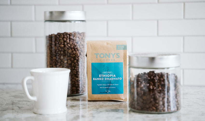 Roast of the Month: Tony's Ethiopia Banko Dhadhato - Seattle Coffee Gear