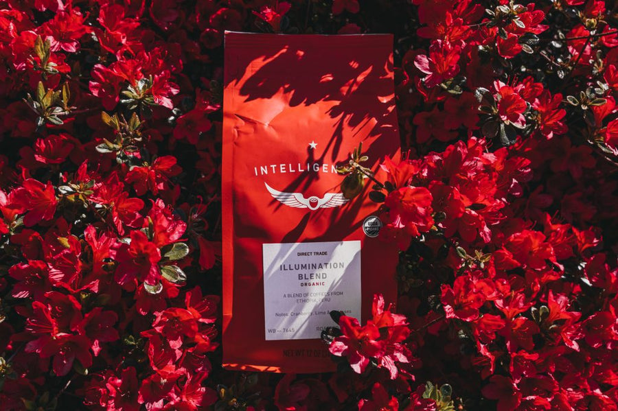 Roast of the Month: Intelligentsia Illumination Blend - Seattle Coffee Gear