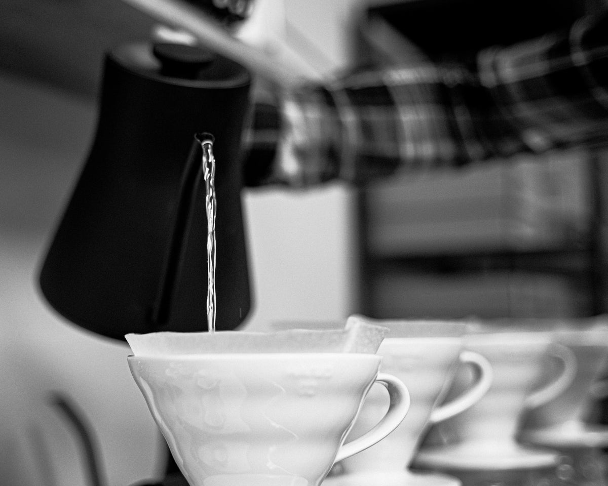 Video Roundup: 5/24/2019 - Seattle Coffee Gear