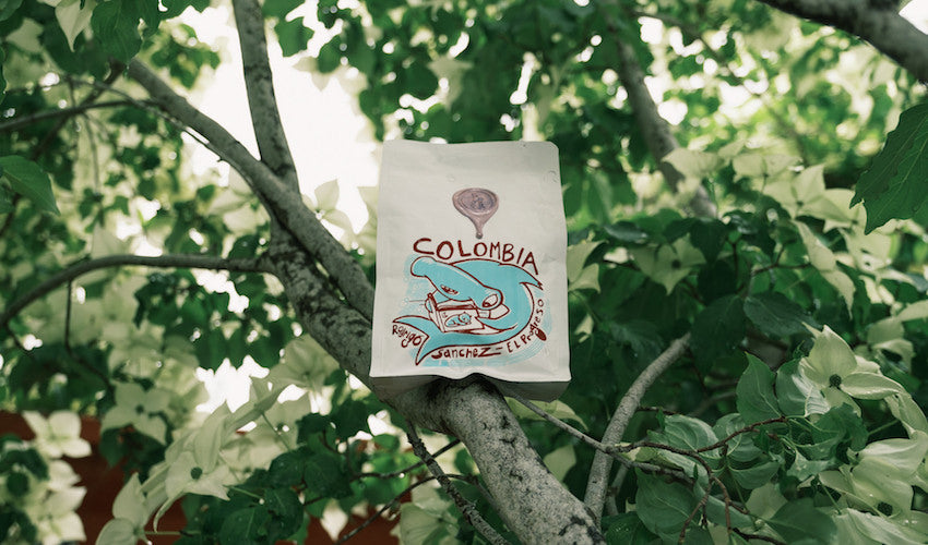 Roast of the Month: Brandywine's Colombia El Progreso