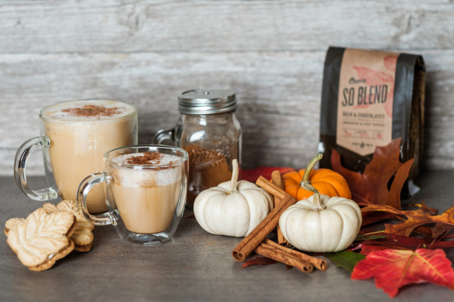 Pumpkin Pie Cold (and Hot!) Foam Coffee