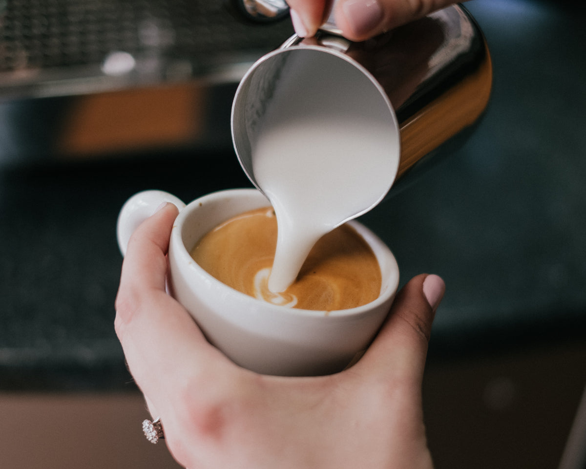 Milk Steaming With John! - Seattle Coffee Gear