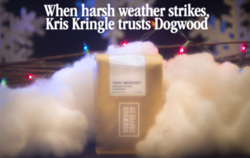 12 Days of Coffee: Dogwood Coffee Company - Snow Emergency - Seattle Coffee Gear