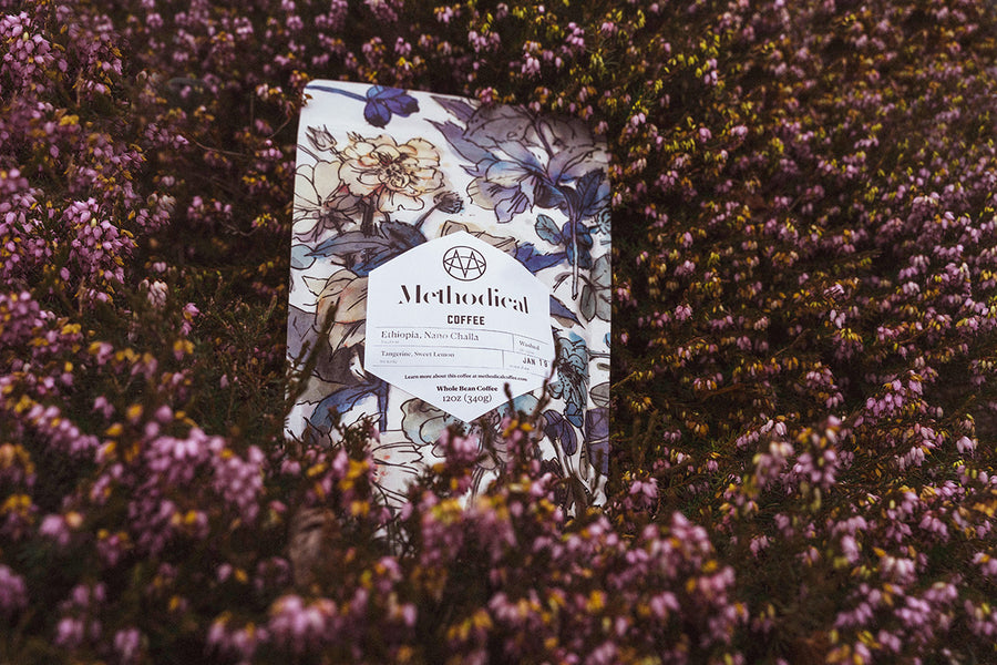 Roast of the Month: Methodical's Ethiopia Nano Challa - Seattle Coffee Gear