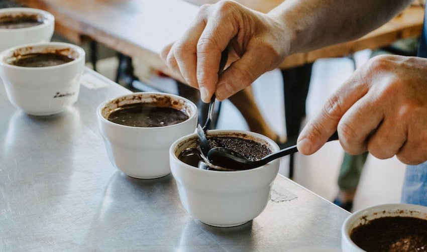 The Importance of Cupping - Seattle Coffee Gear