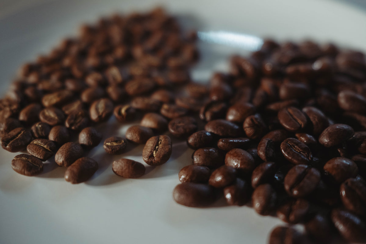 January Video Recap - Seattle Coffee Gear