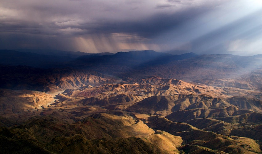 Coffee On The Brain: How Altitude Affects Coffee Flavor